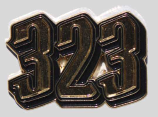 323 Pin Gold