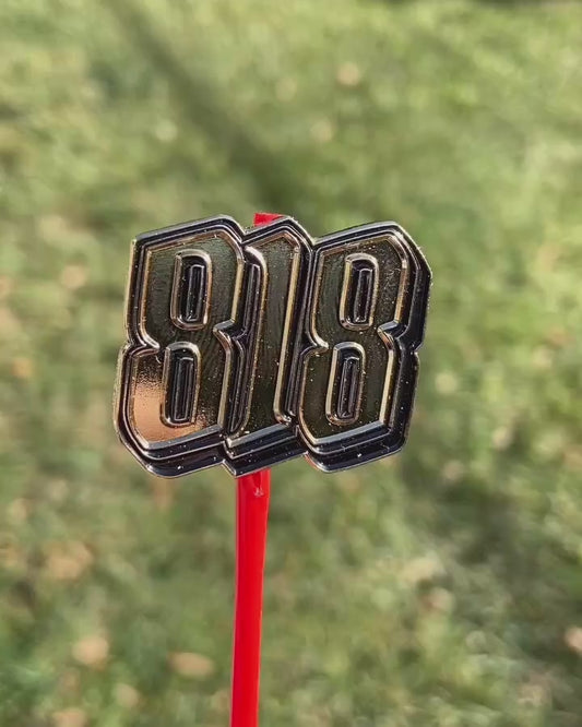 818 Pin Gold