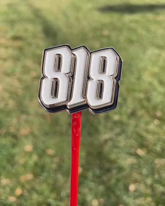 818 Pin B/W