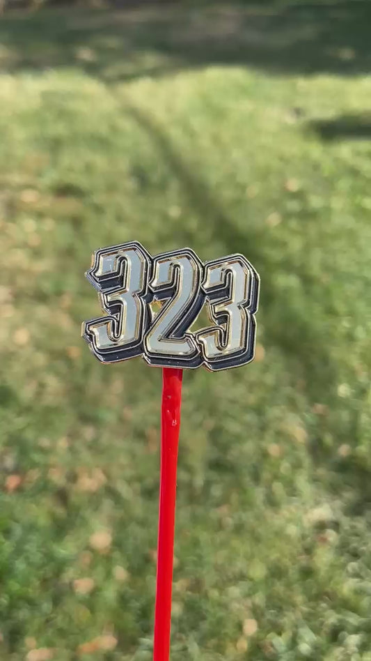 323 Pin Gold