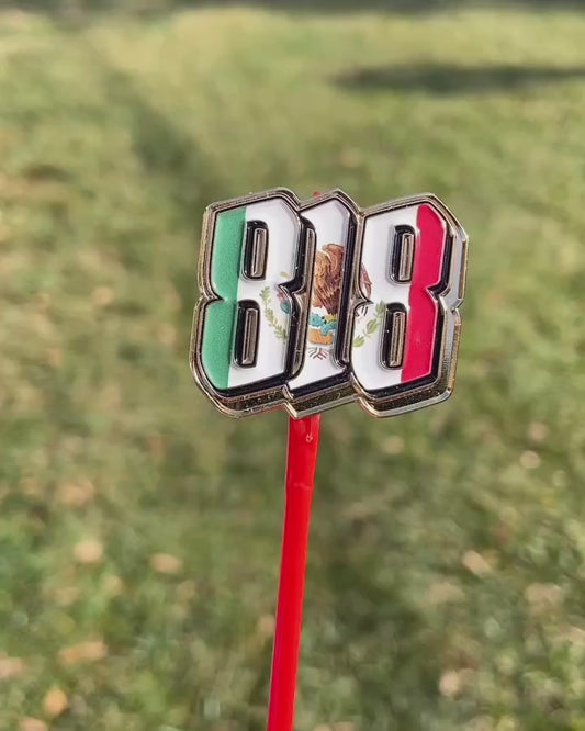 818 Pin Mexico
