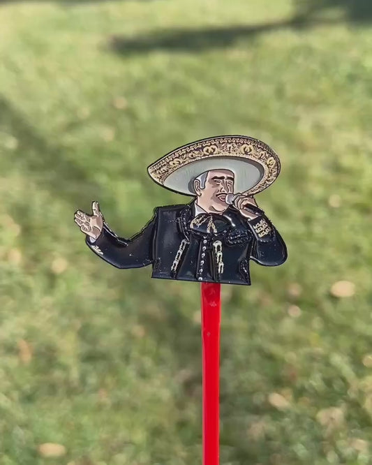 Vicente Fernández